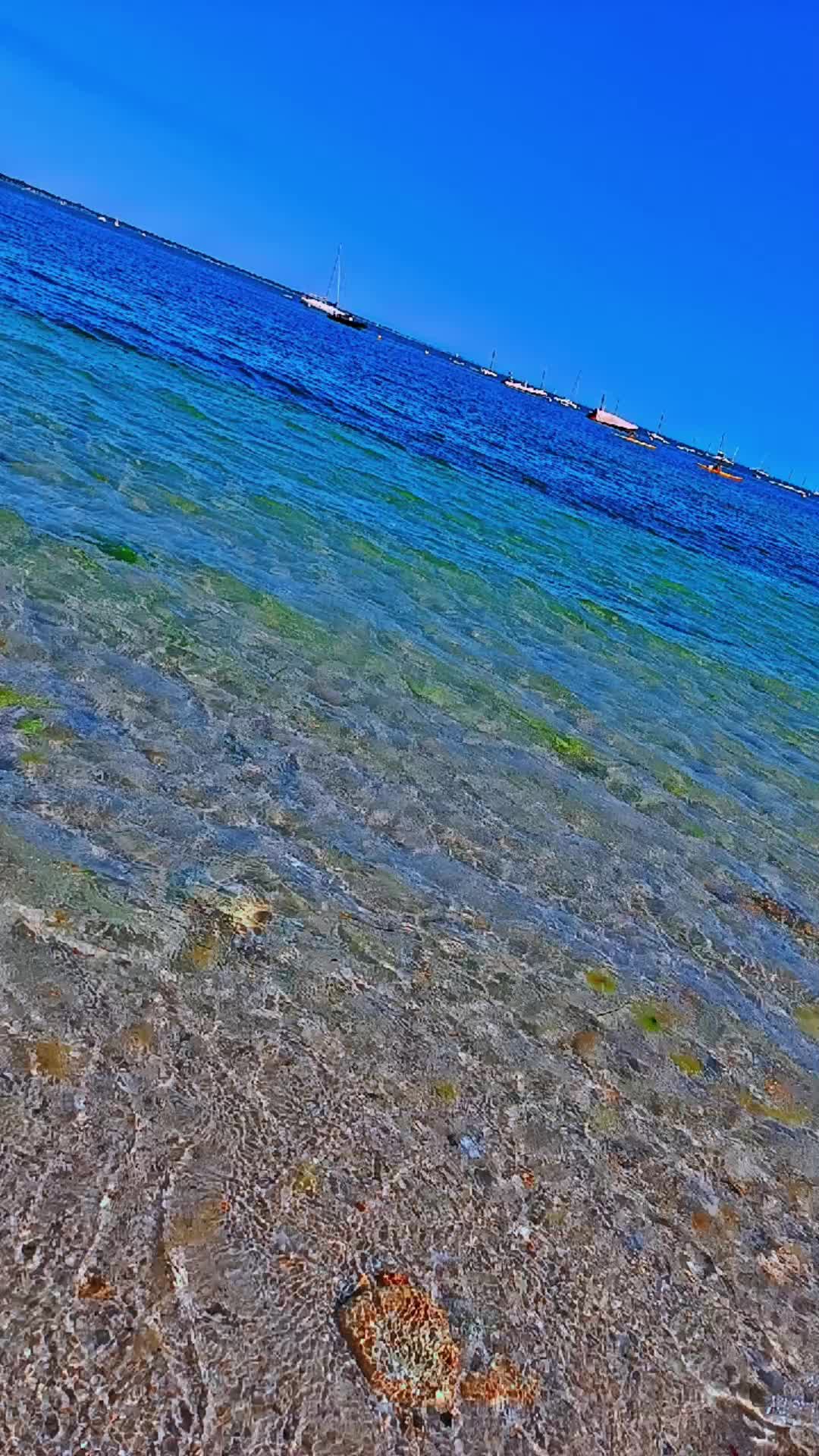 @𝓢𝓪𝓷𝓭𝔂 𓆩დ𓆪 ⋆