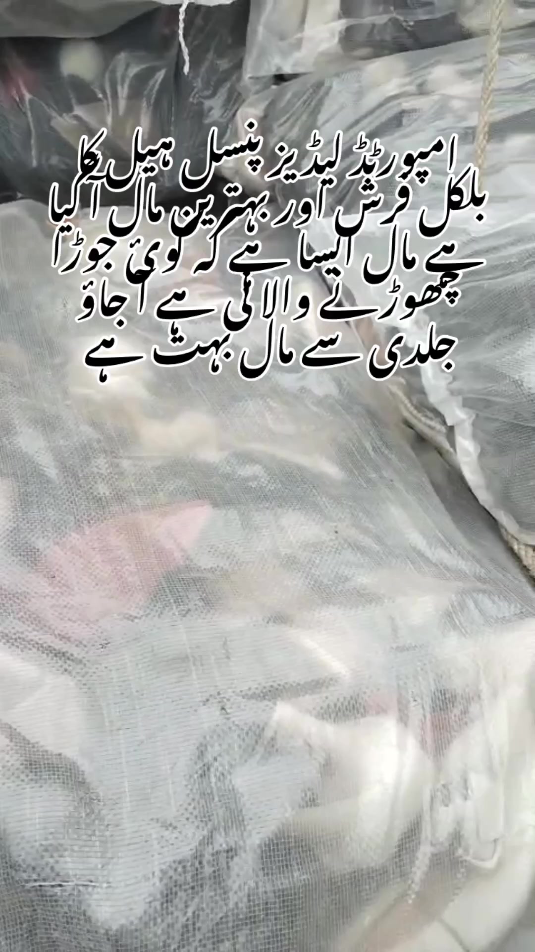 @دانش وکیل