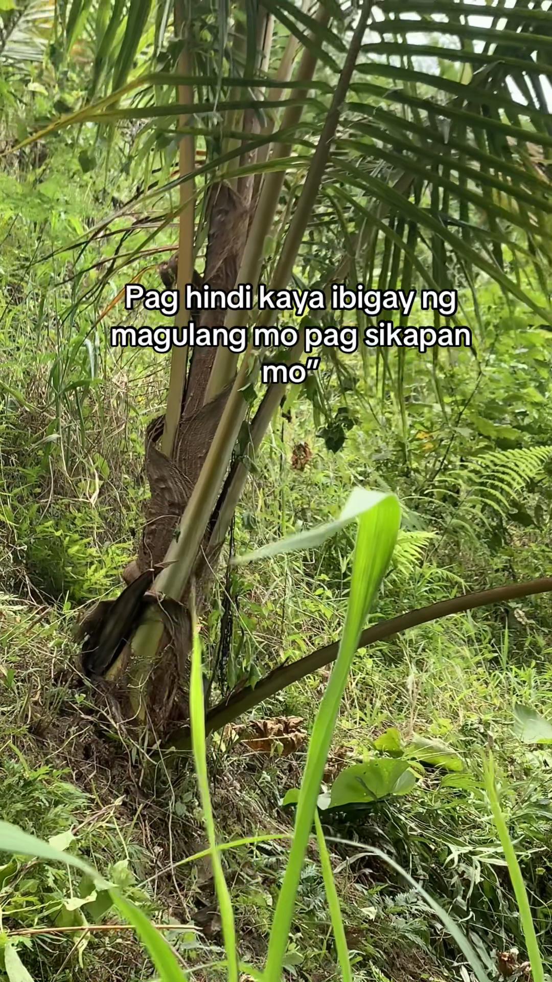 @Jibbydigan