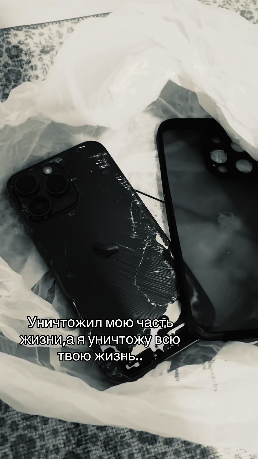 @Заяц💔