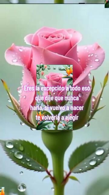 @Jh Hg