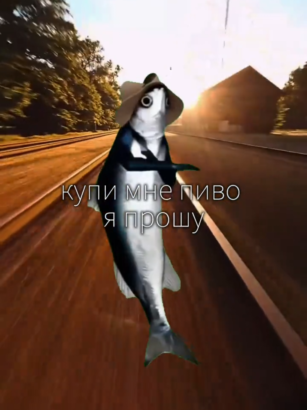 @Сунгулик