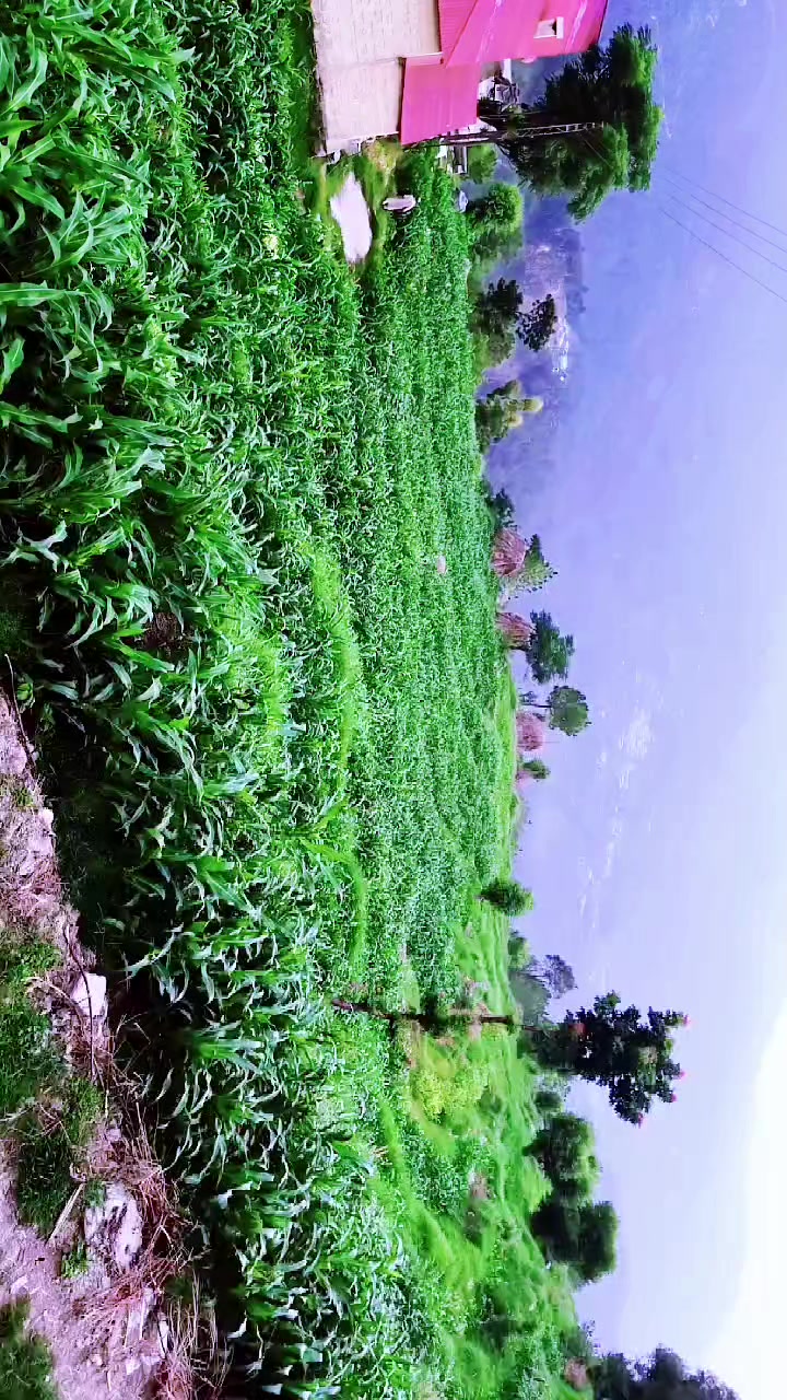 @بابرحان 2363699998🇵🇰