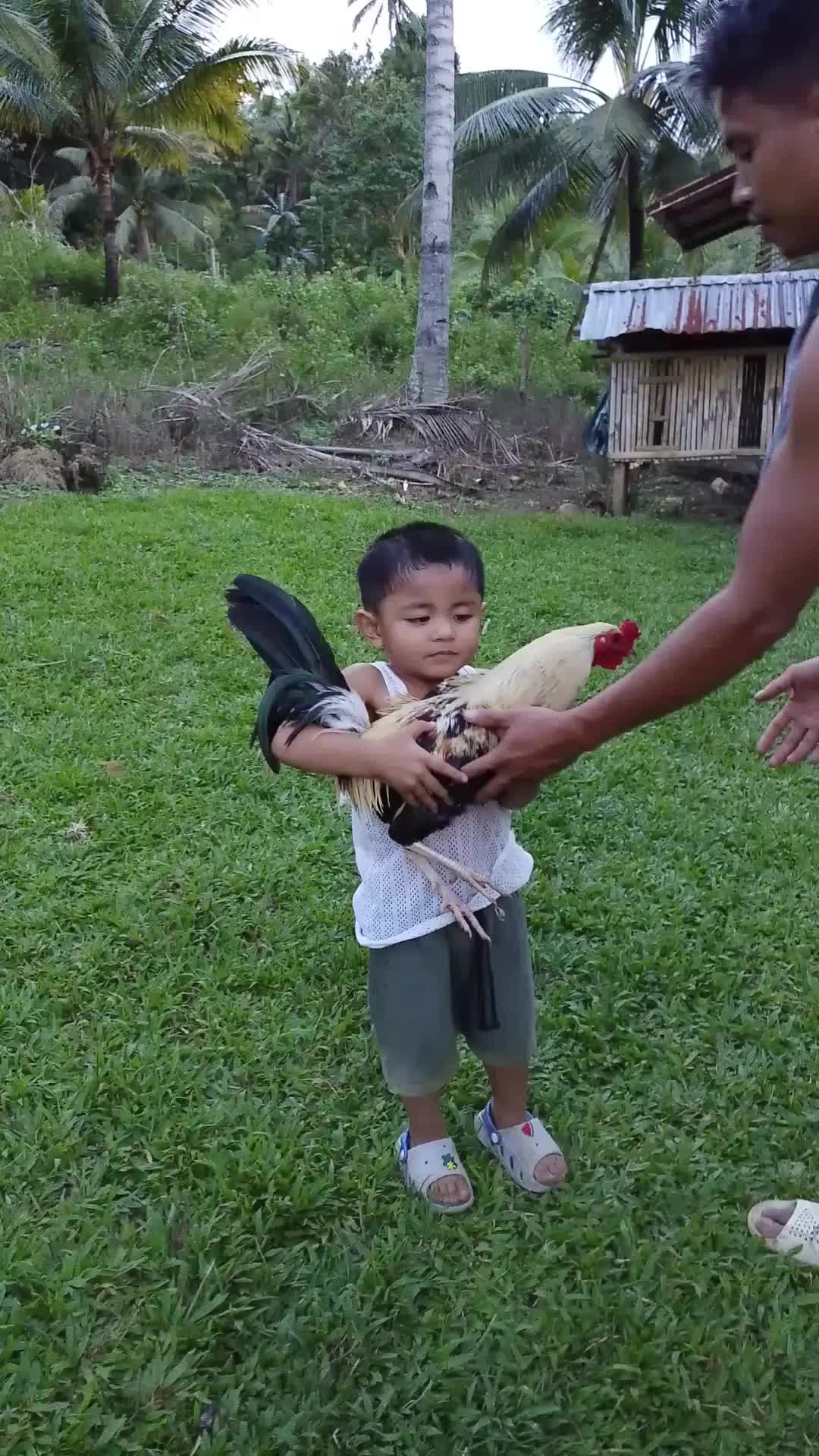 @wisthleefarm
