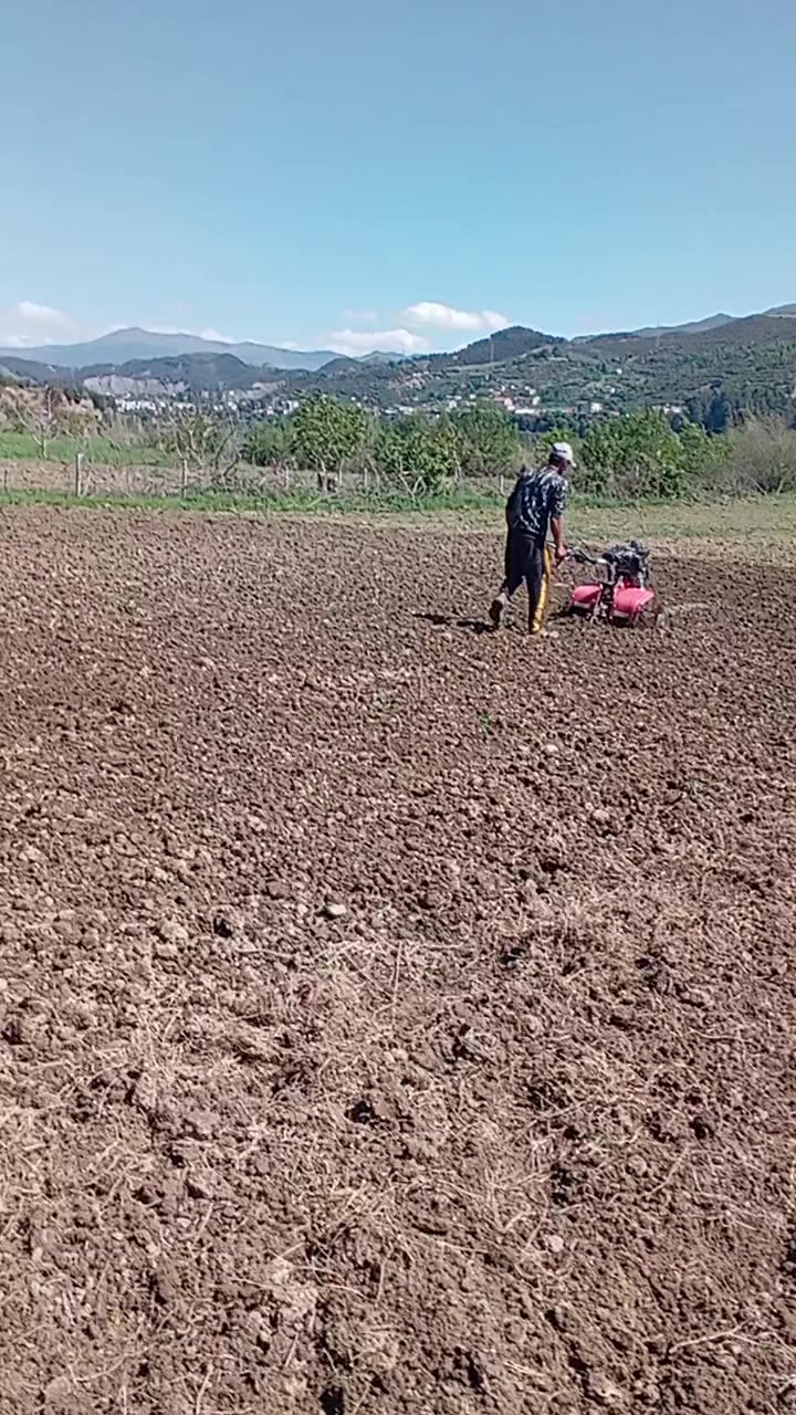 @Mira Boci