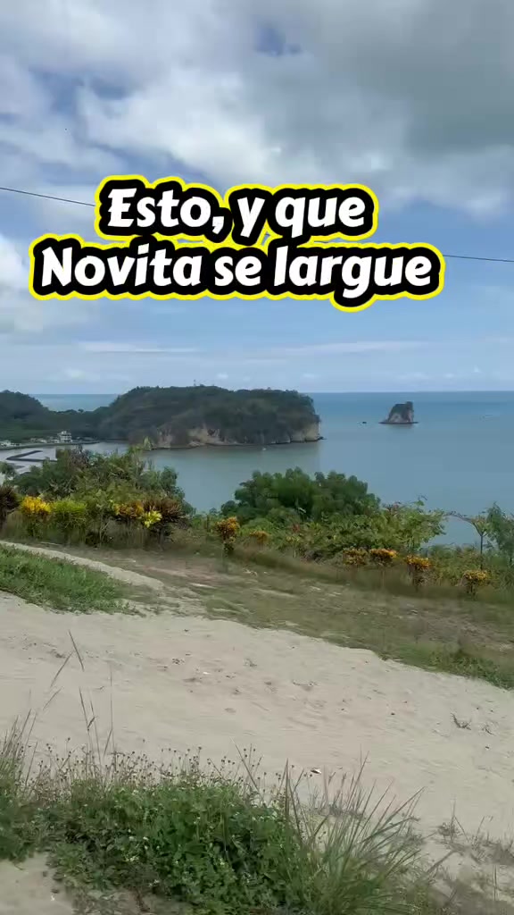 @ALEX RT