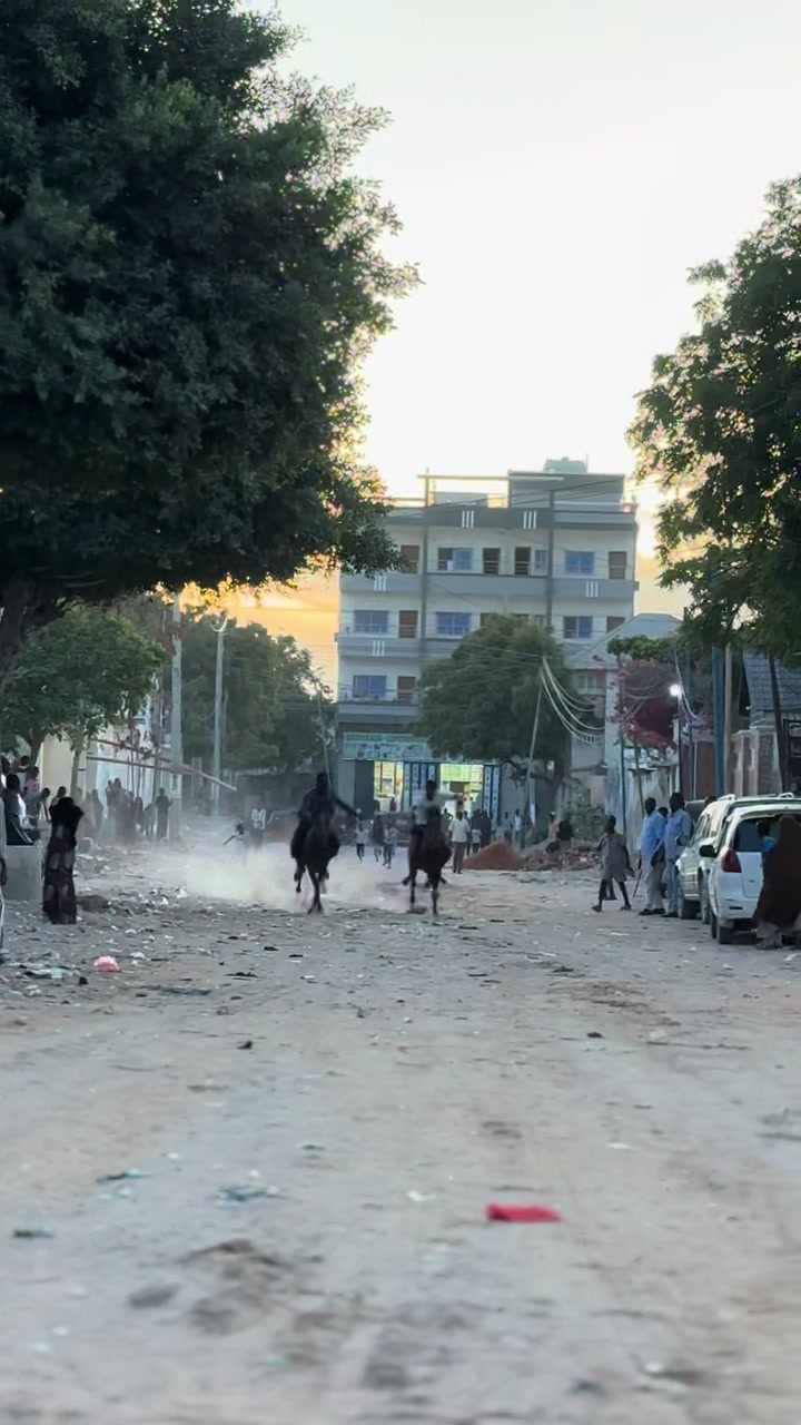 @Duliyaha🐎diyaradadhulka🇸🇴🐎