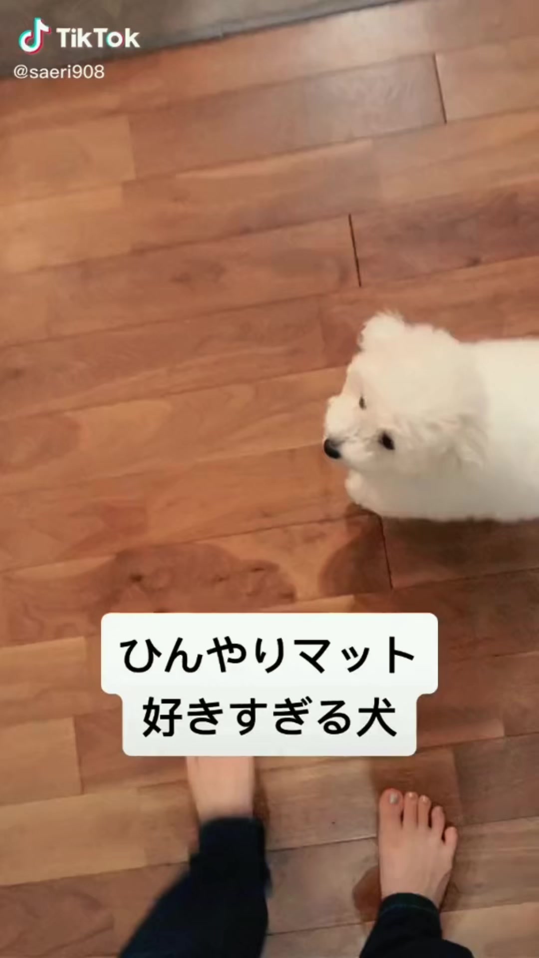@たっちゃん。