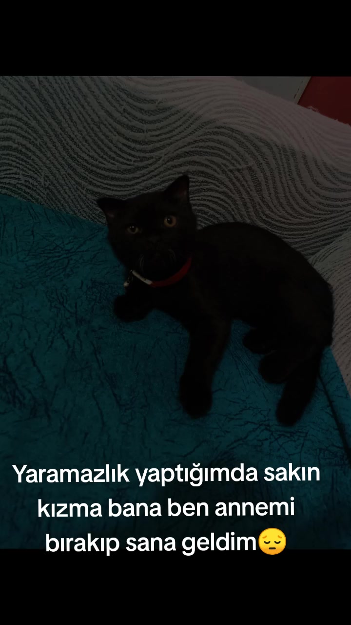 @G&uuml;lay