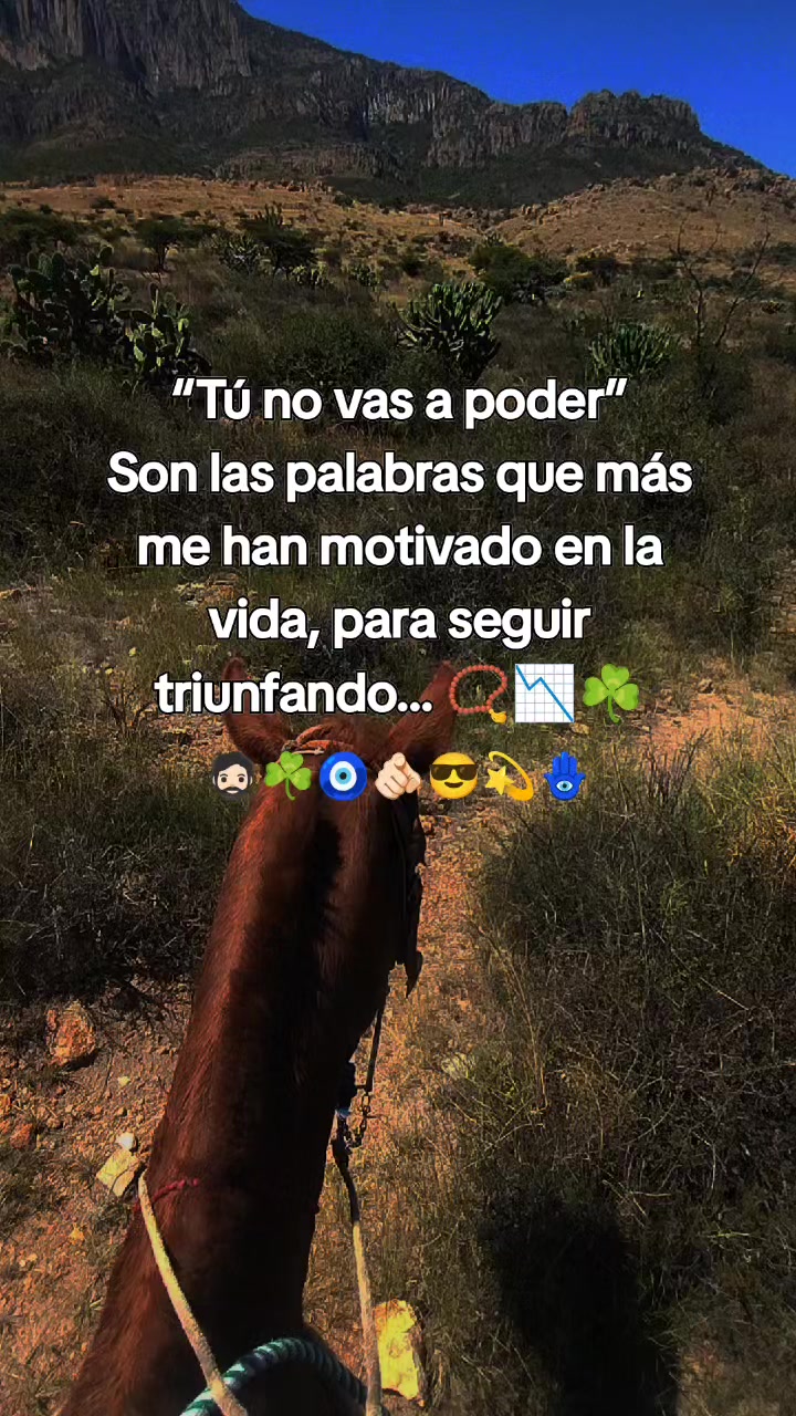 @Herrera 55333
