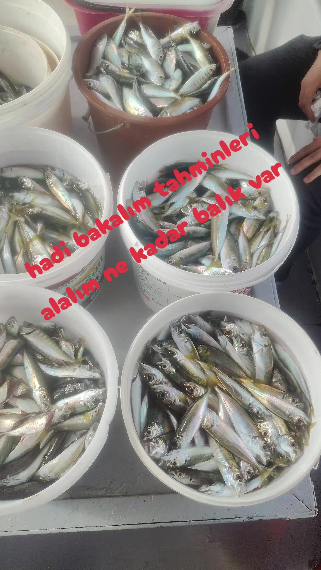 @SeRCan KaPTaNLa TeKNe KeYFi