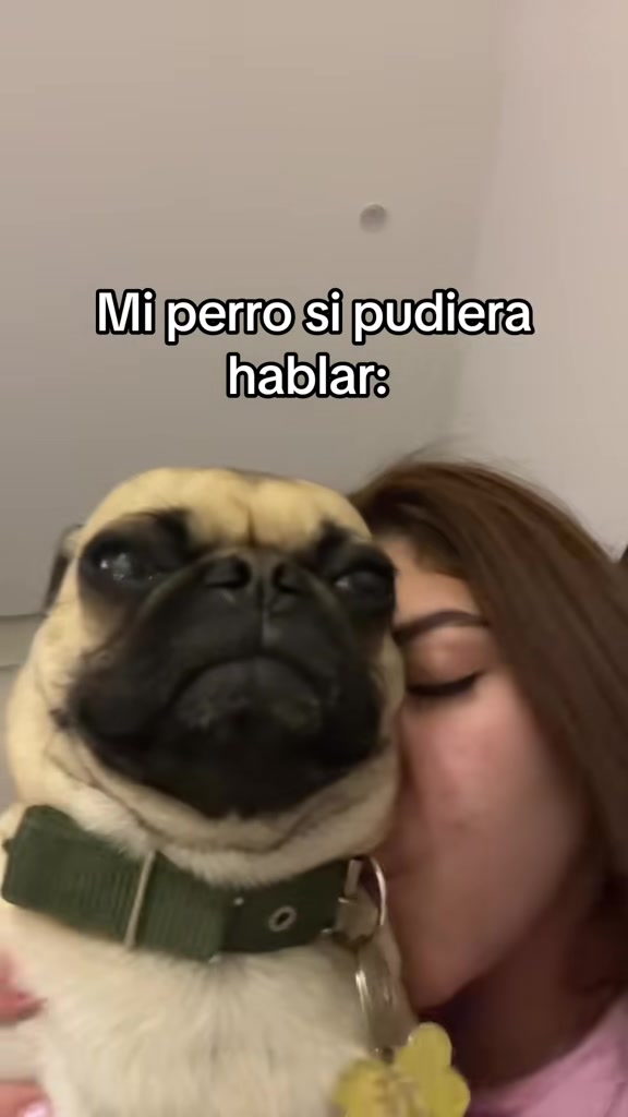@Alexa&elcarnalchiss