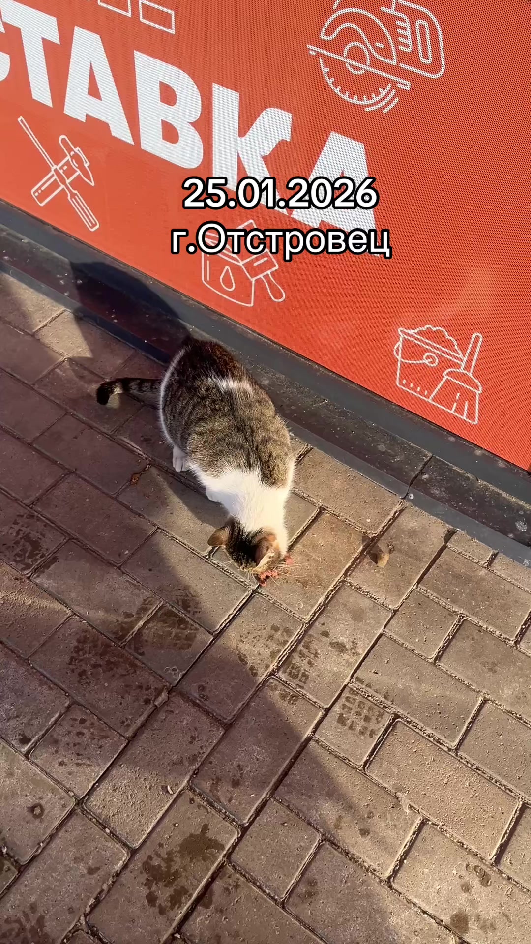 @LgAr
