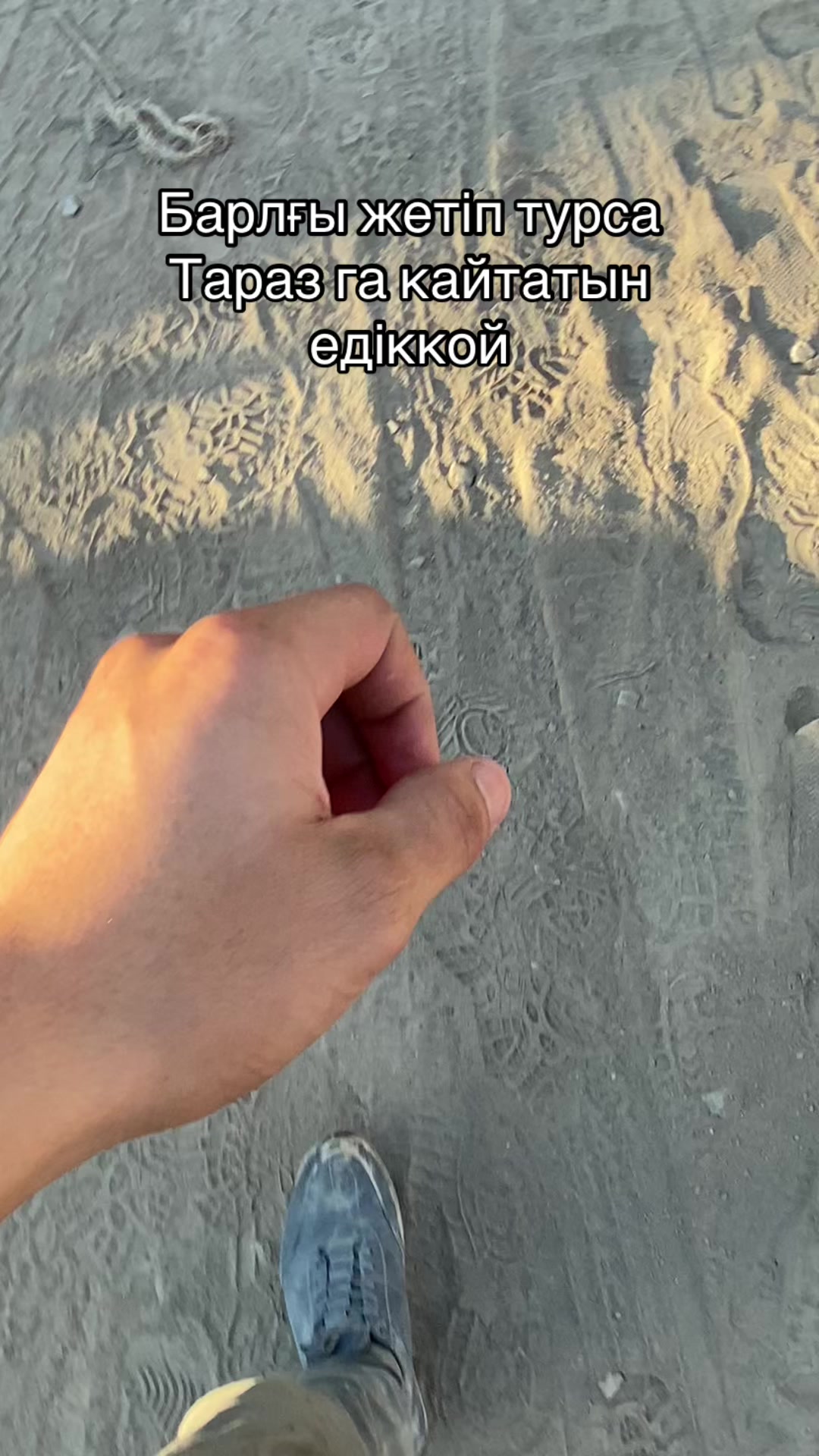 @๐ช๐๐ฟ๐ถ๐08