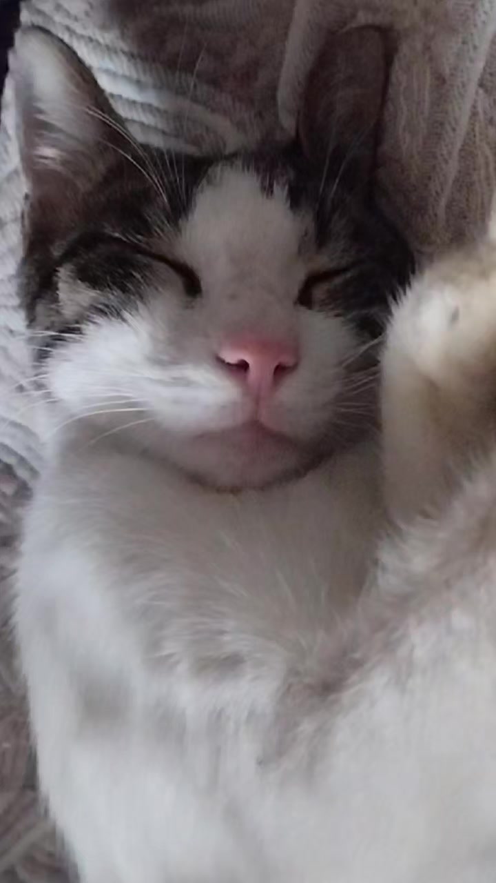 @miniş