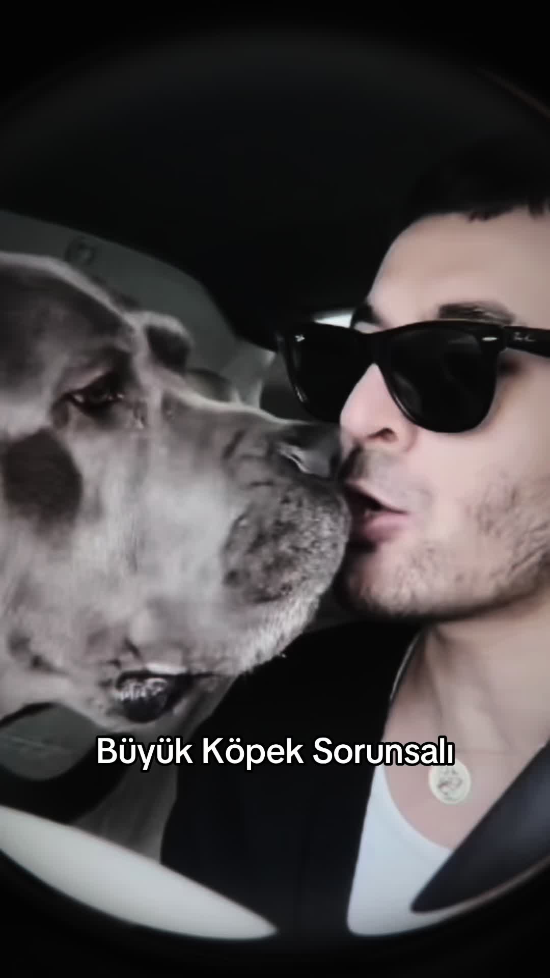 @Niko Aslaner