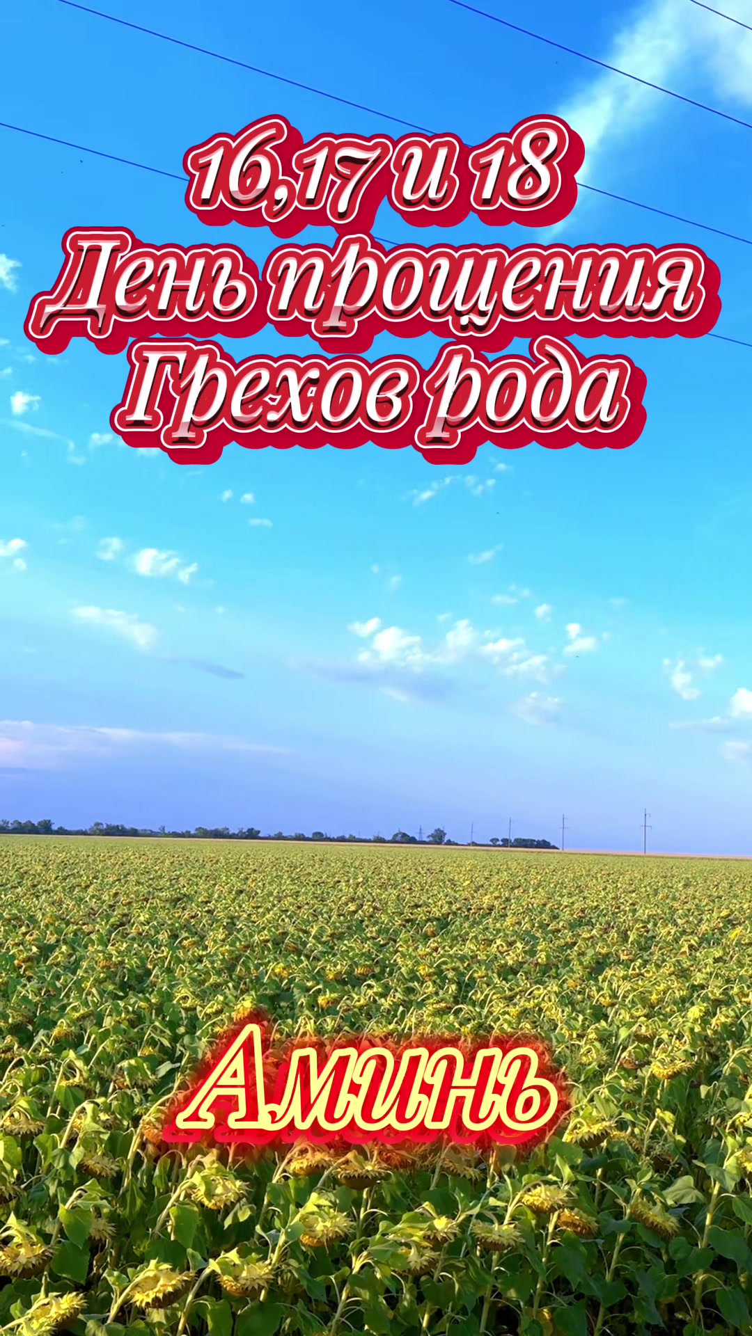 @vadim5614