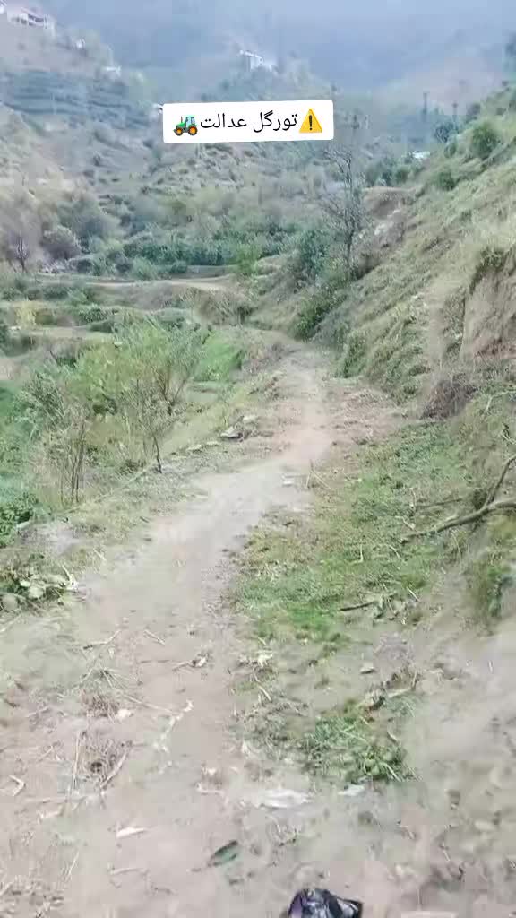 @تورگل