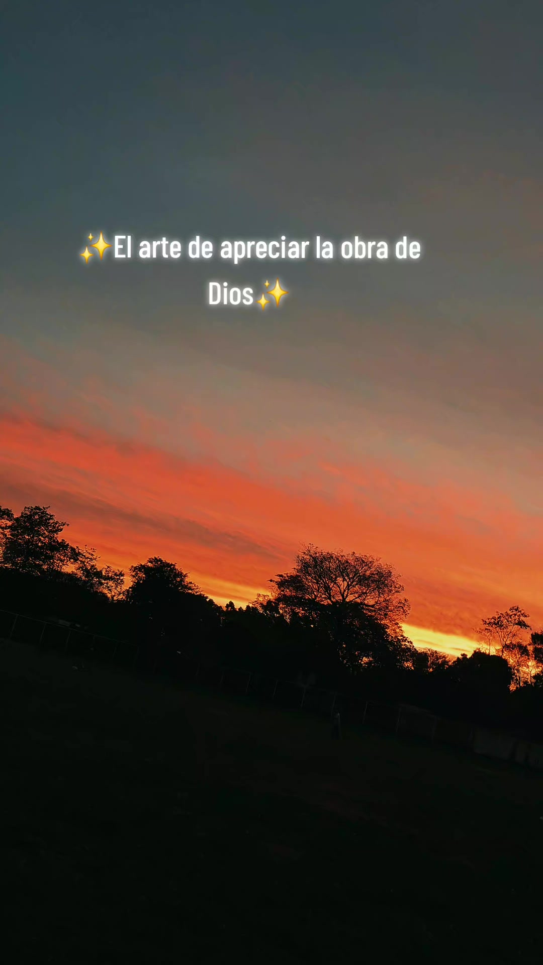 @Micaa💖