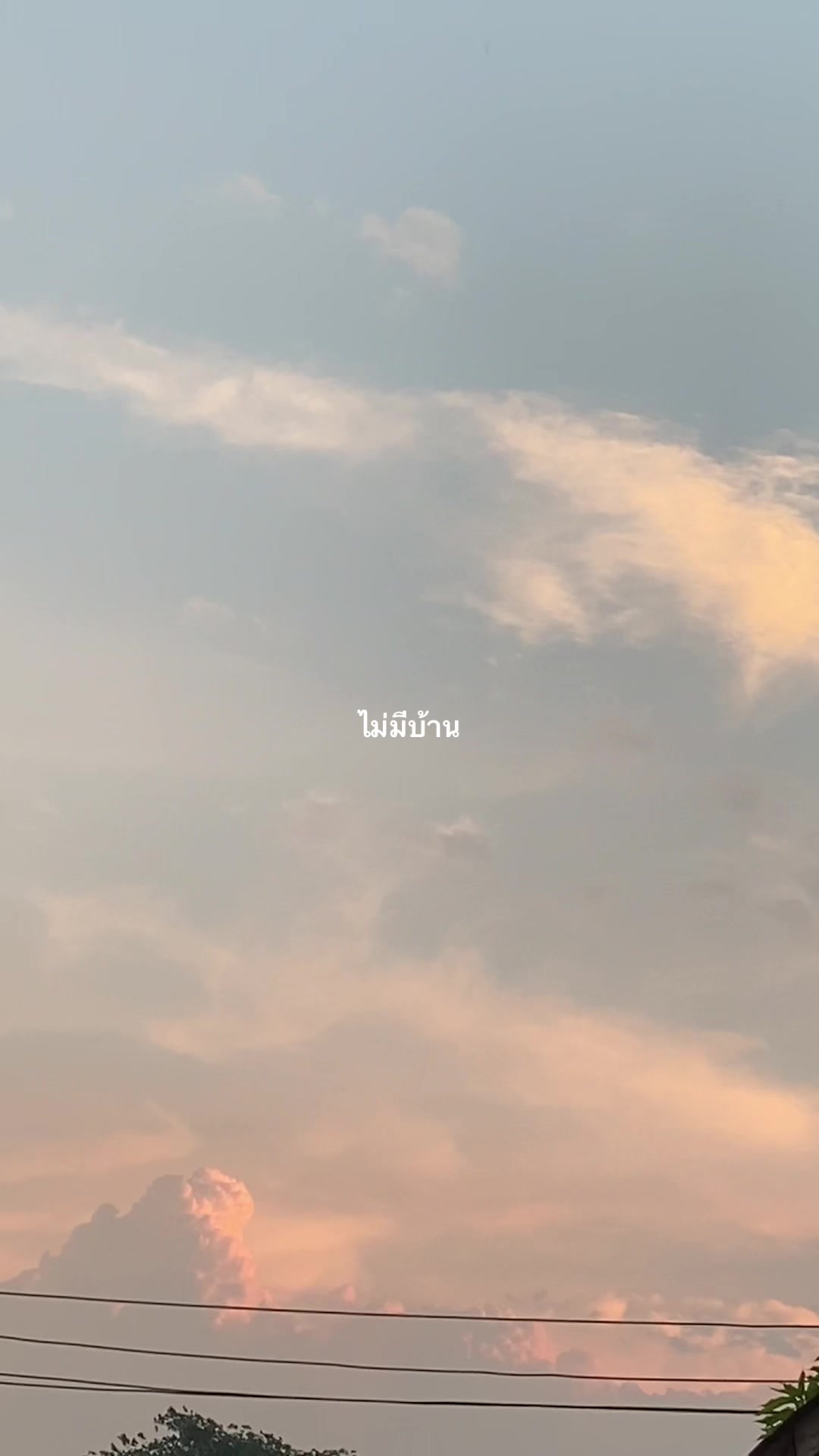 @pd🤍
