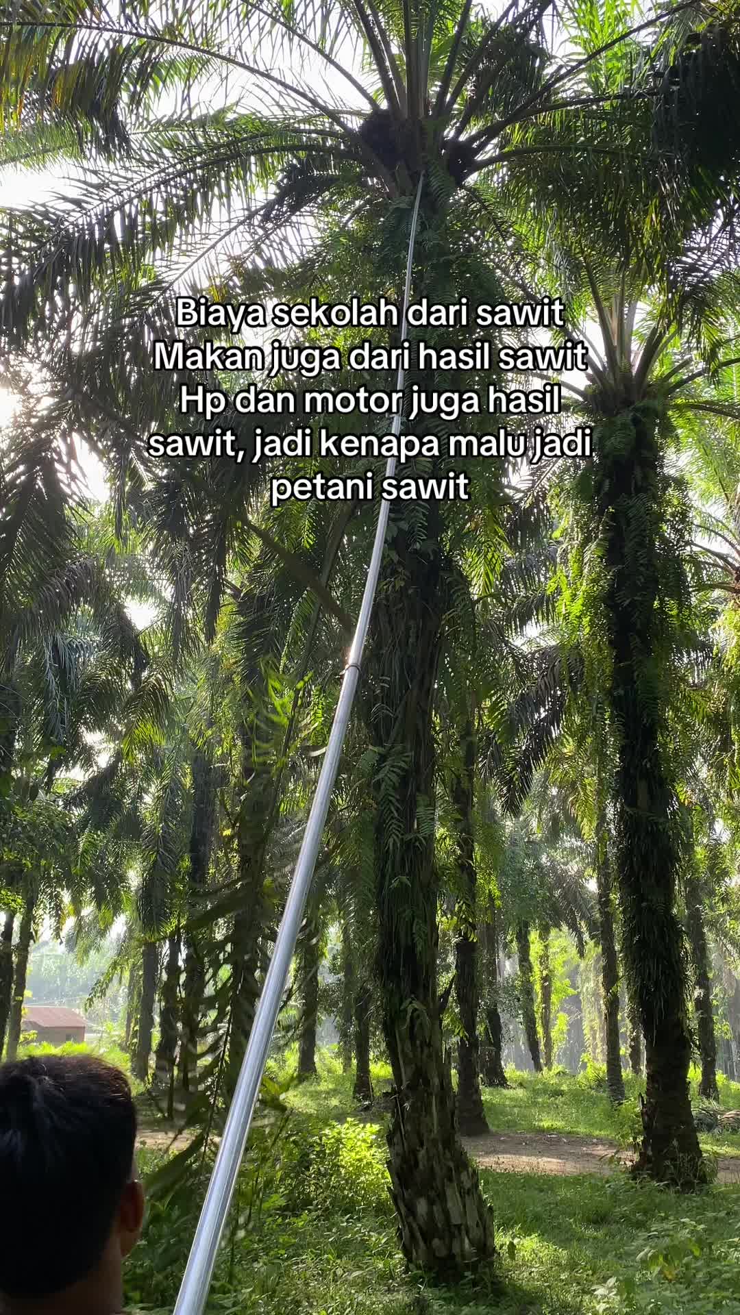 @Bang_buan🕸️
