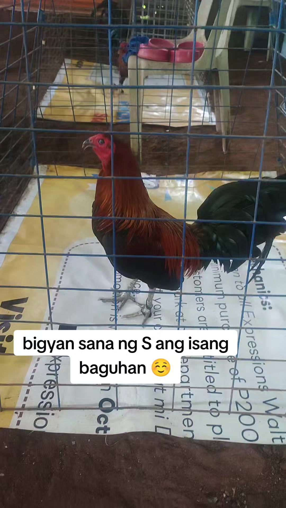 @kaymark alejandro
