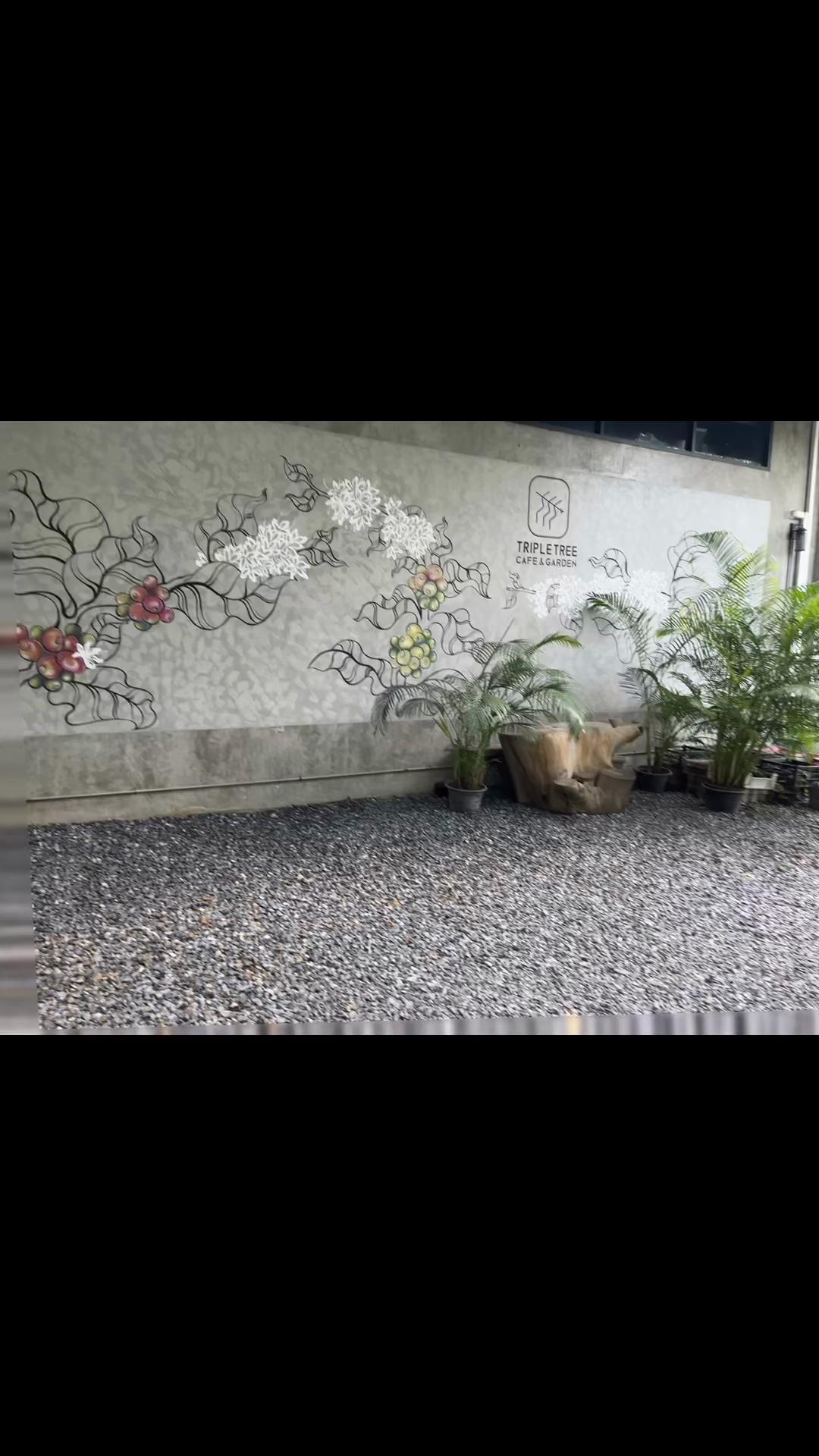 @小猫🐱(ၼွင်ႉလၢဝ်)