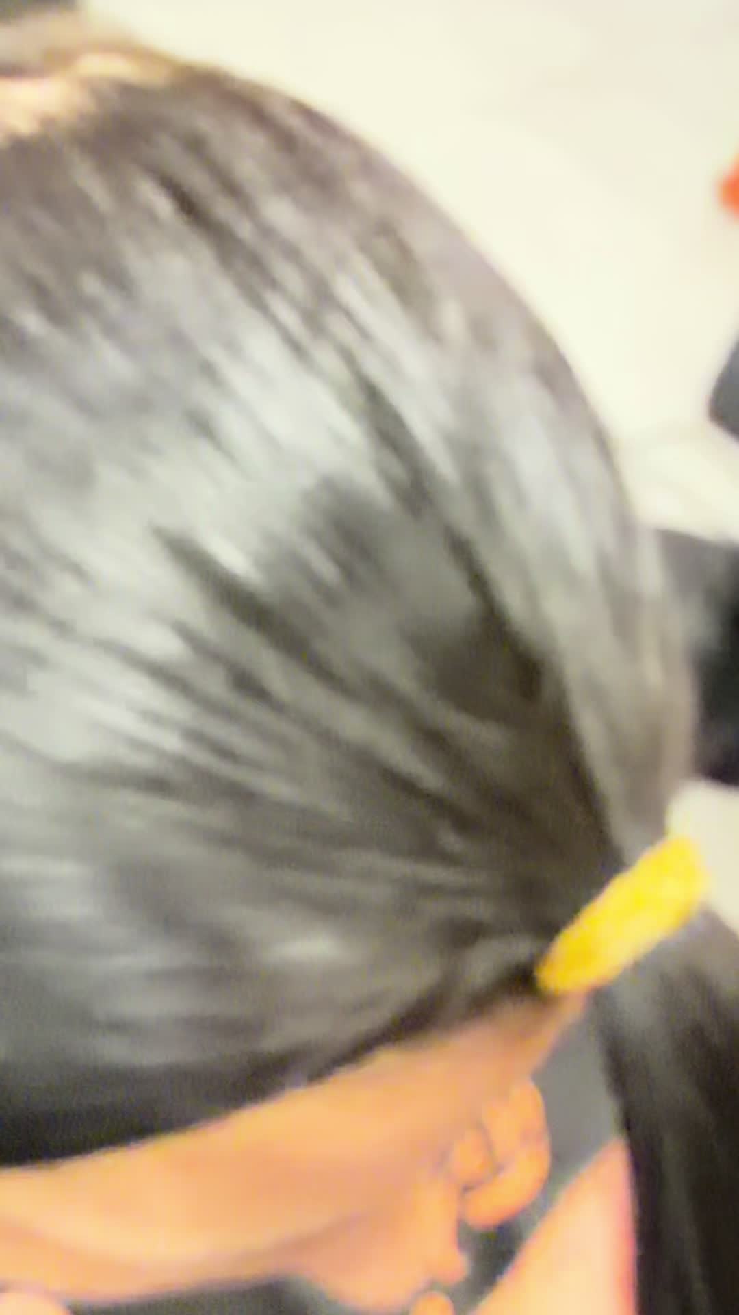 @mauriziooreto