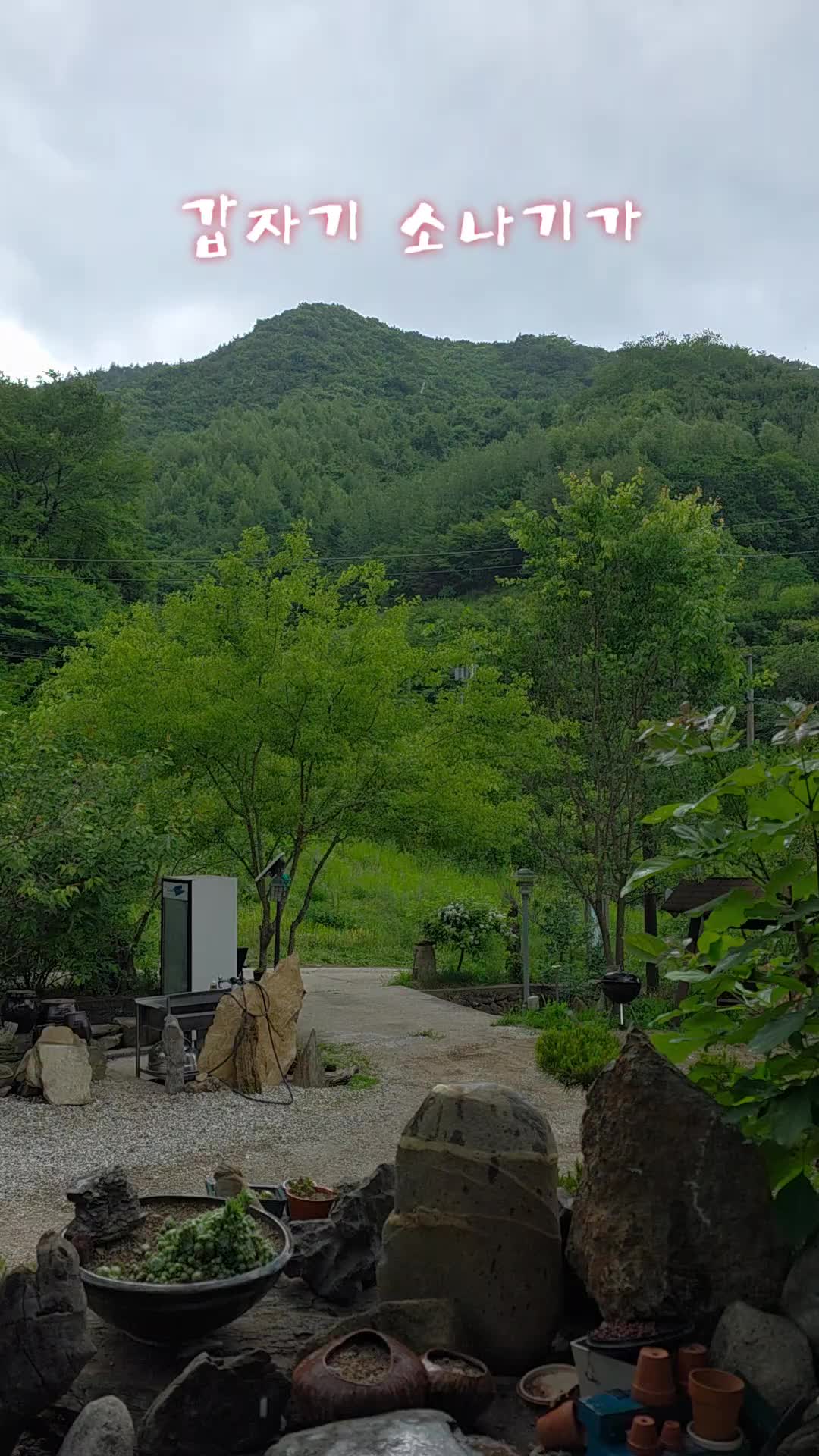 @유튜브 "정선사람들" 안용현