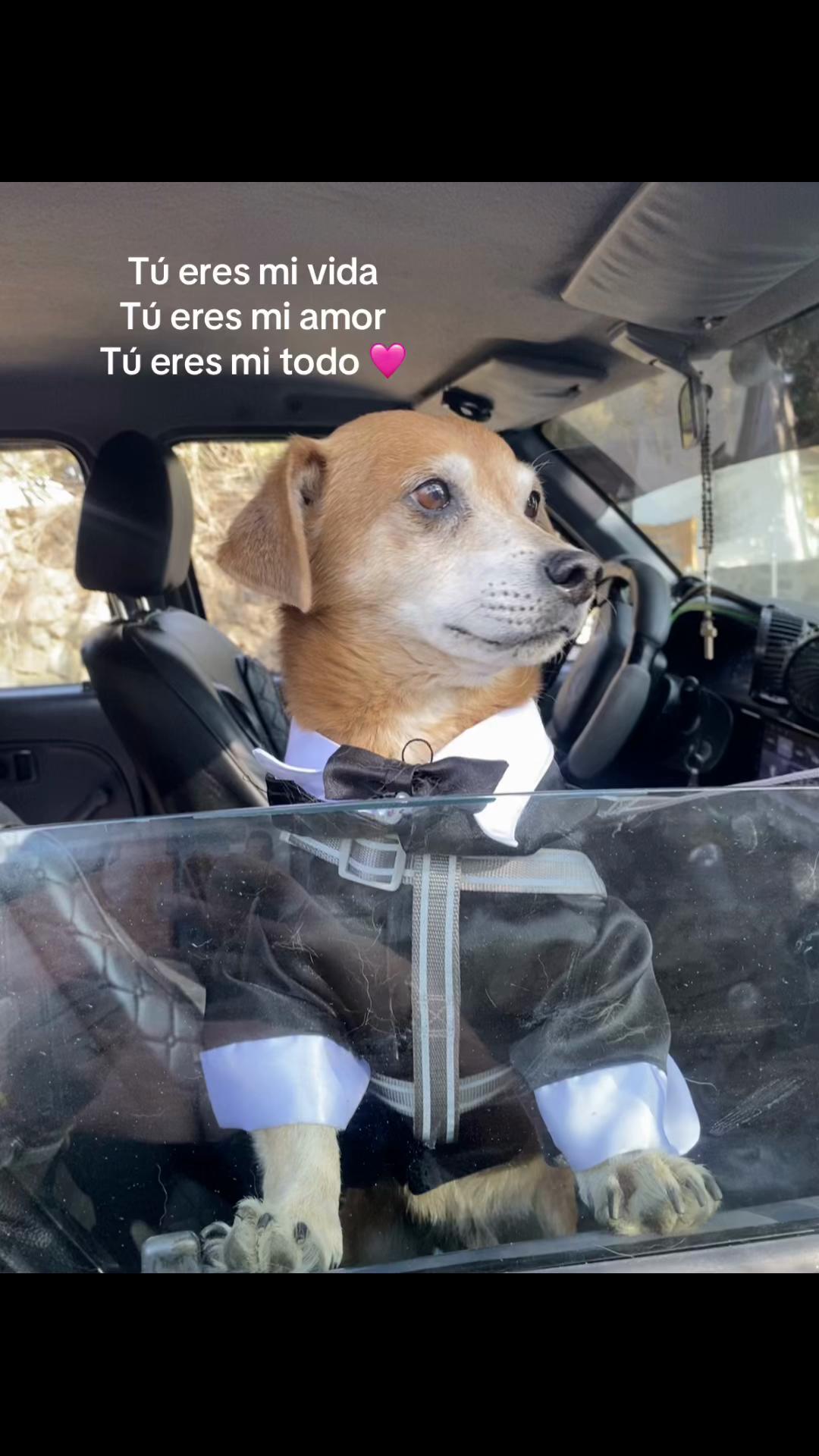 @Fernanda Espinoza