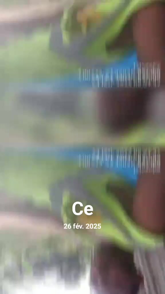 @colleye