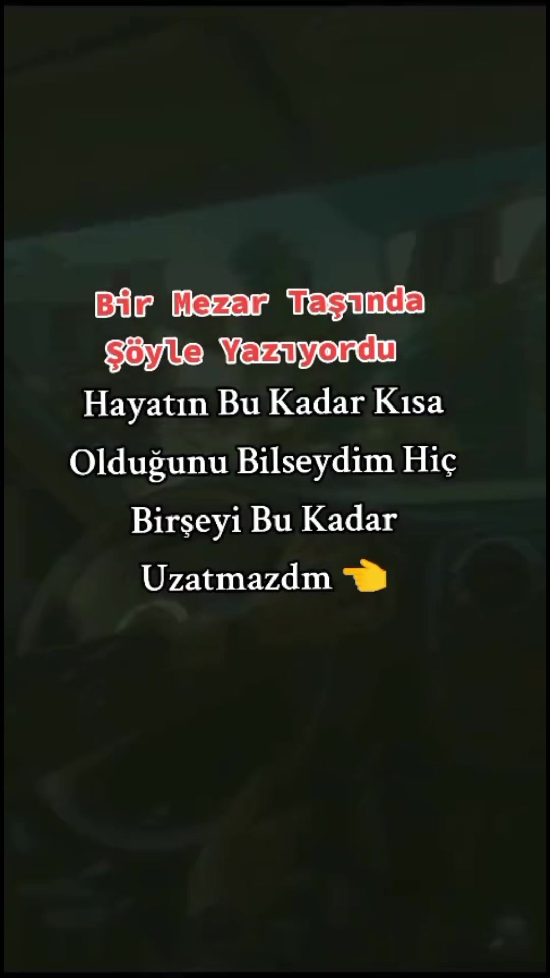 @papatyamm