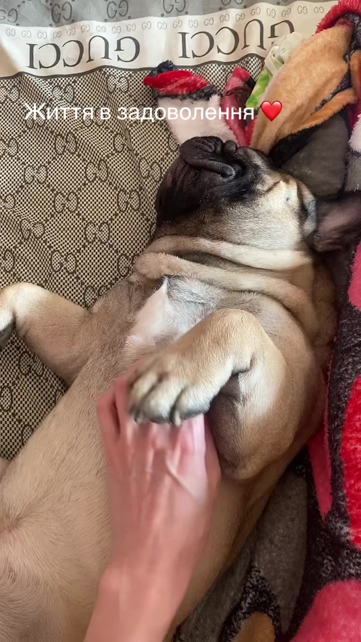 @_holly_bulls_