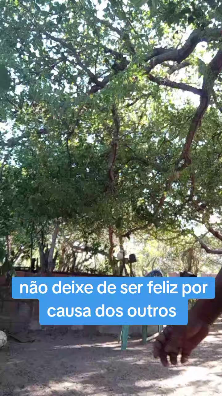@⚡Sandra Santos OFICIAL ☑️