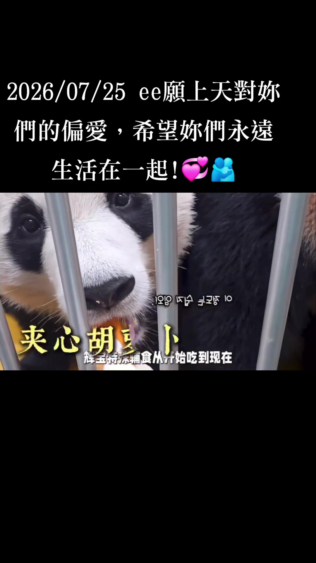 @福寶需要愛的抱抱