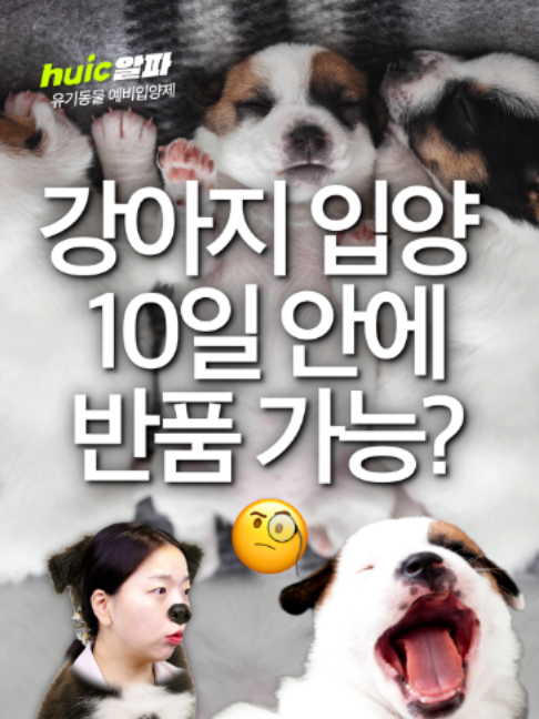 @휙알파 huick