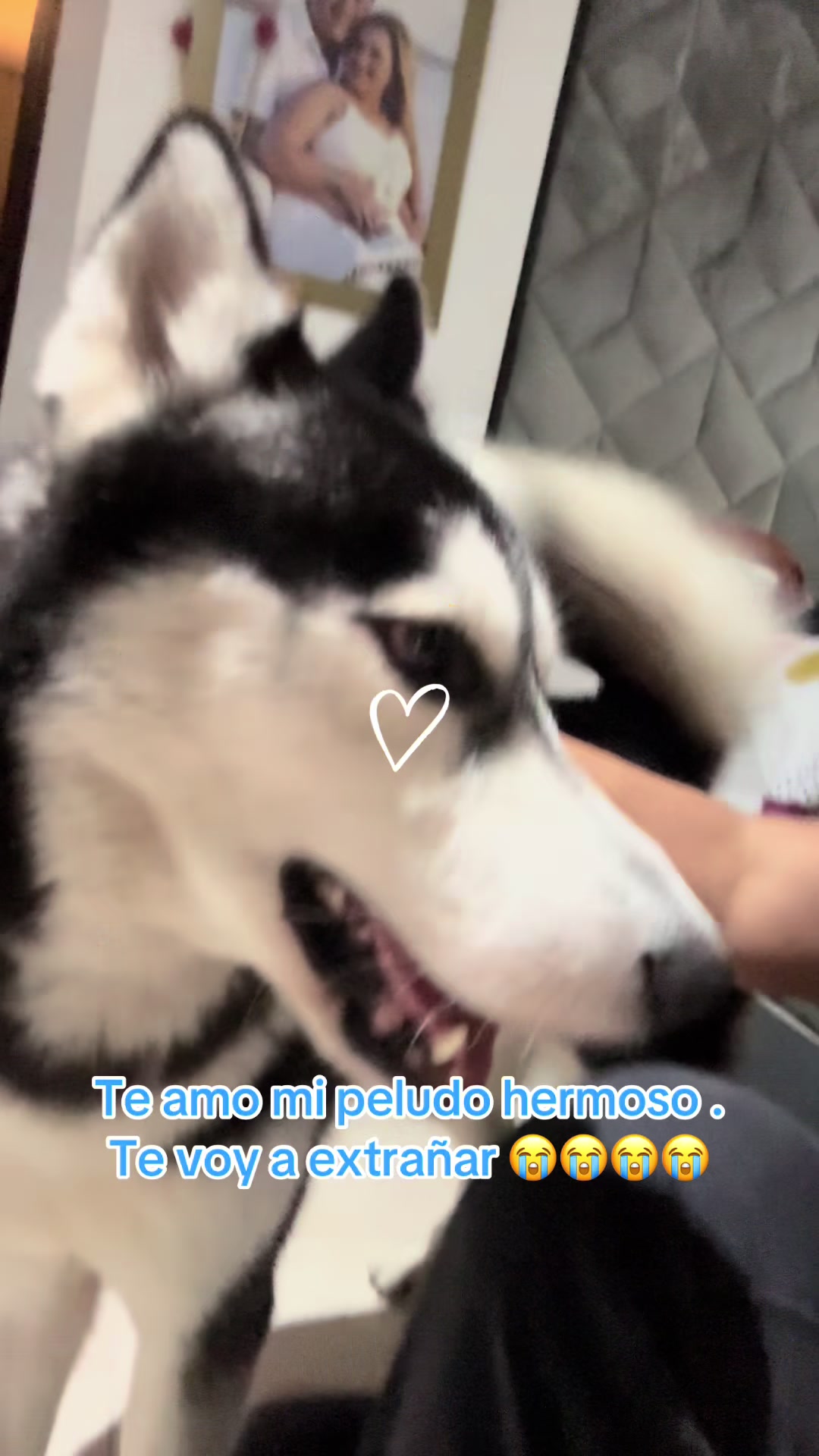 @Analía 🥰