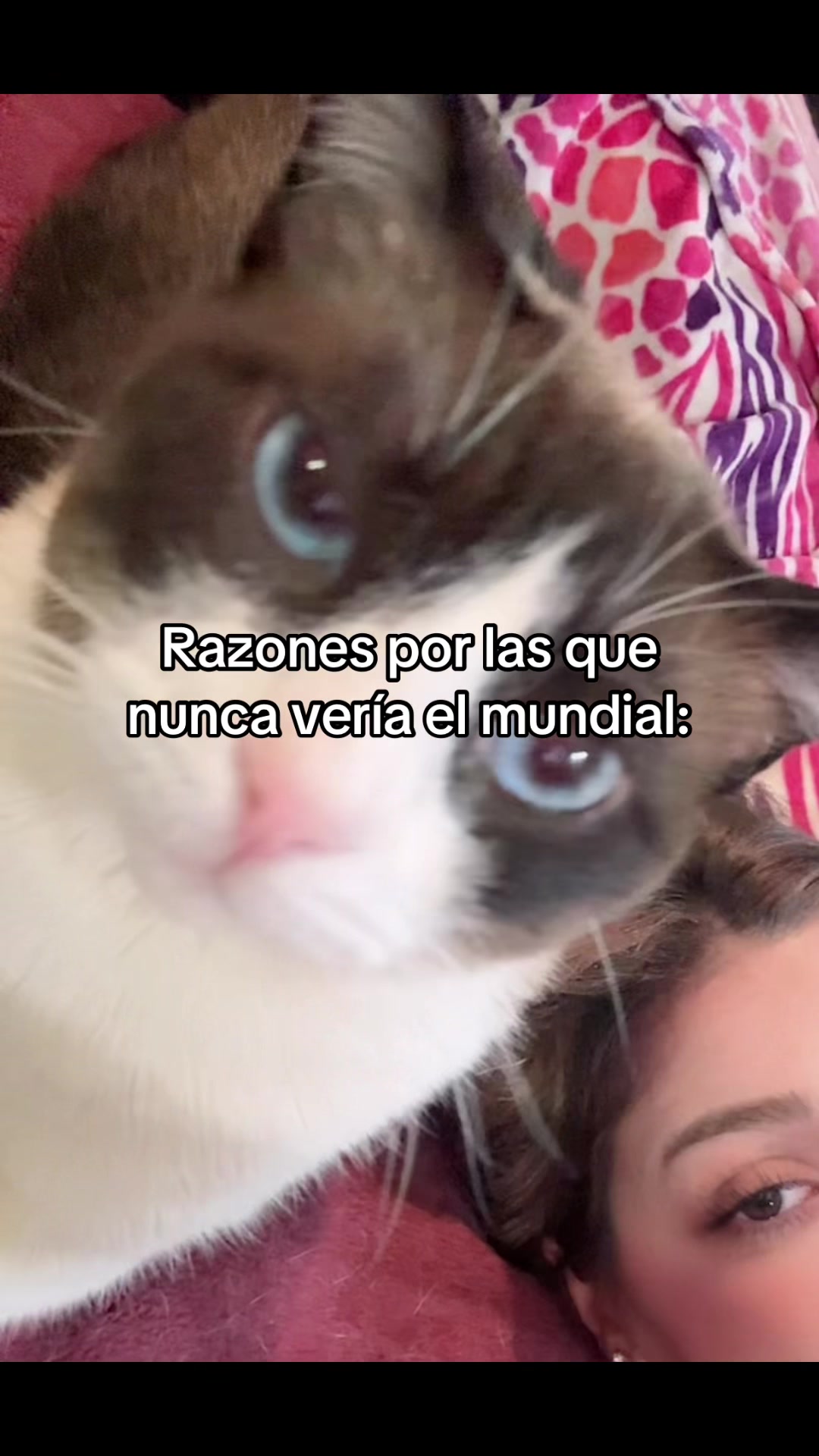 @Natt😺