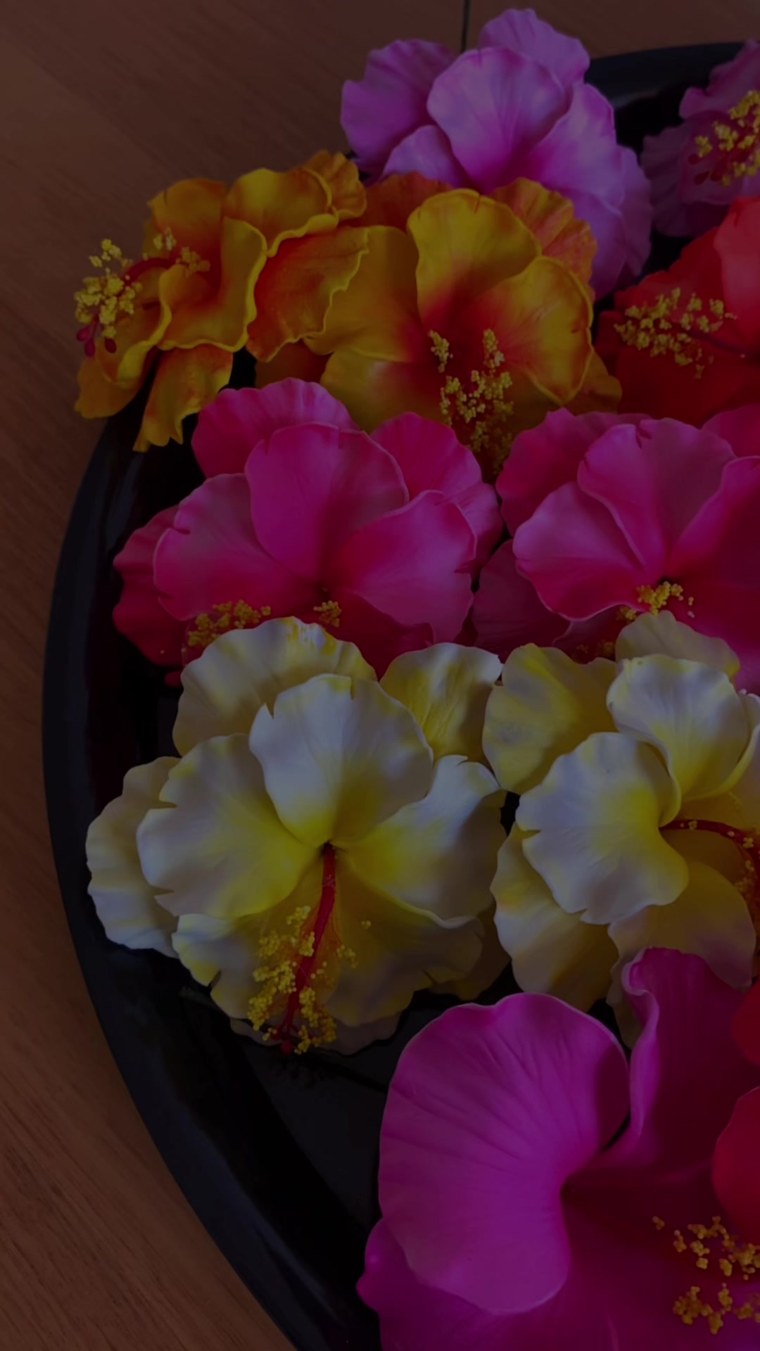 @Island Aesthetica 🌺