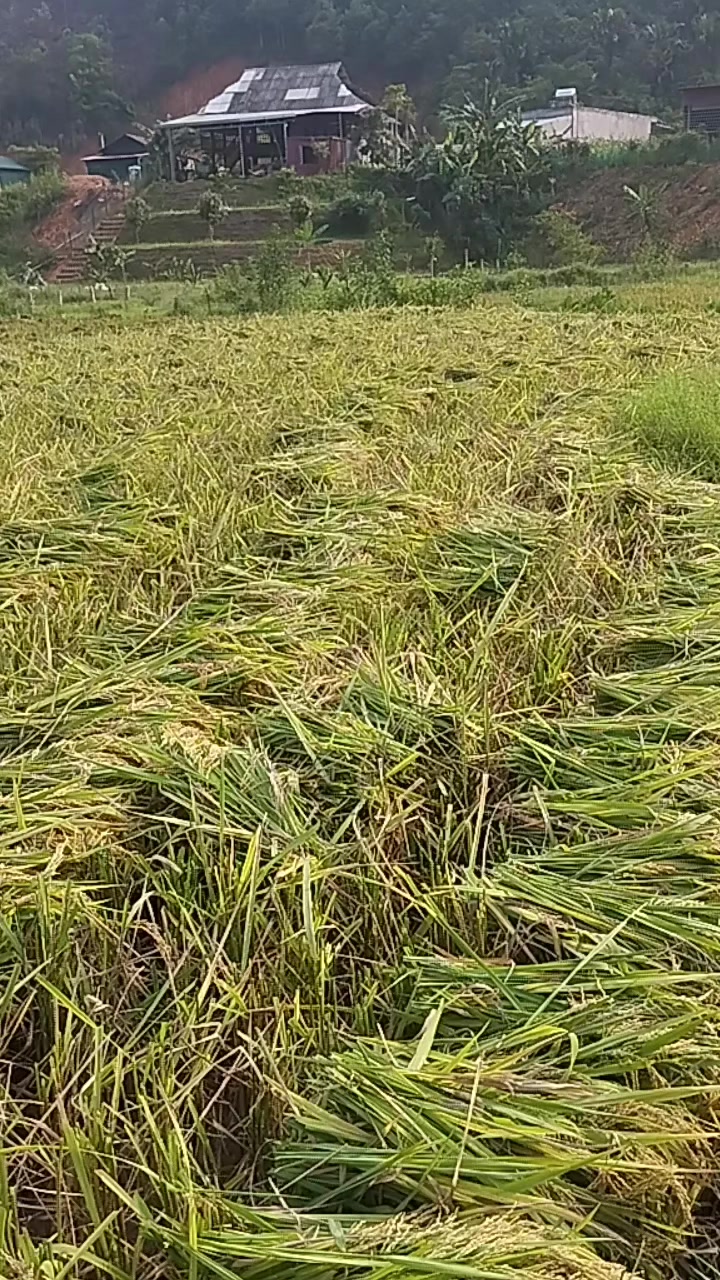 @XuânMai🫶