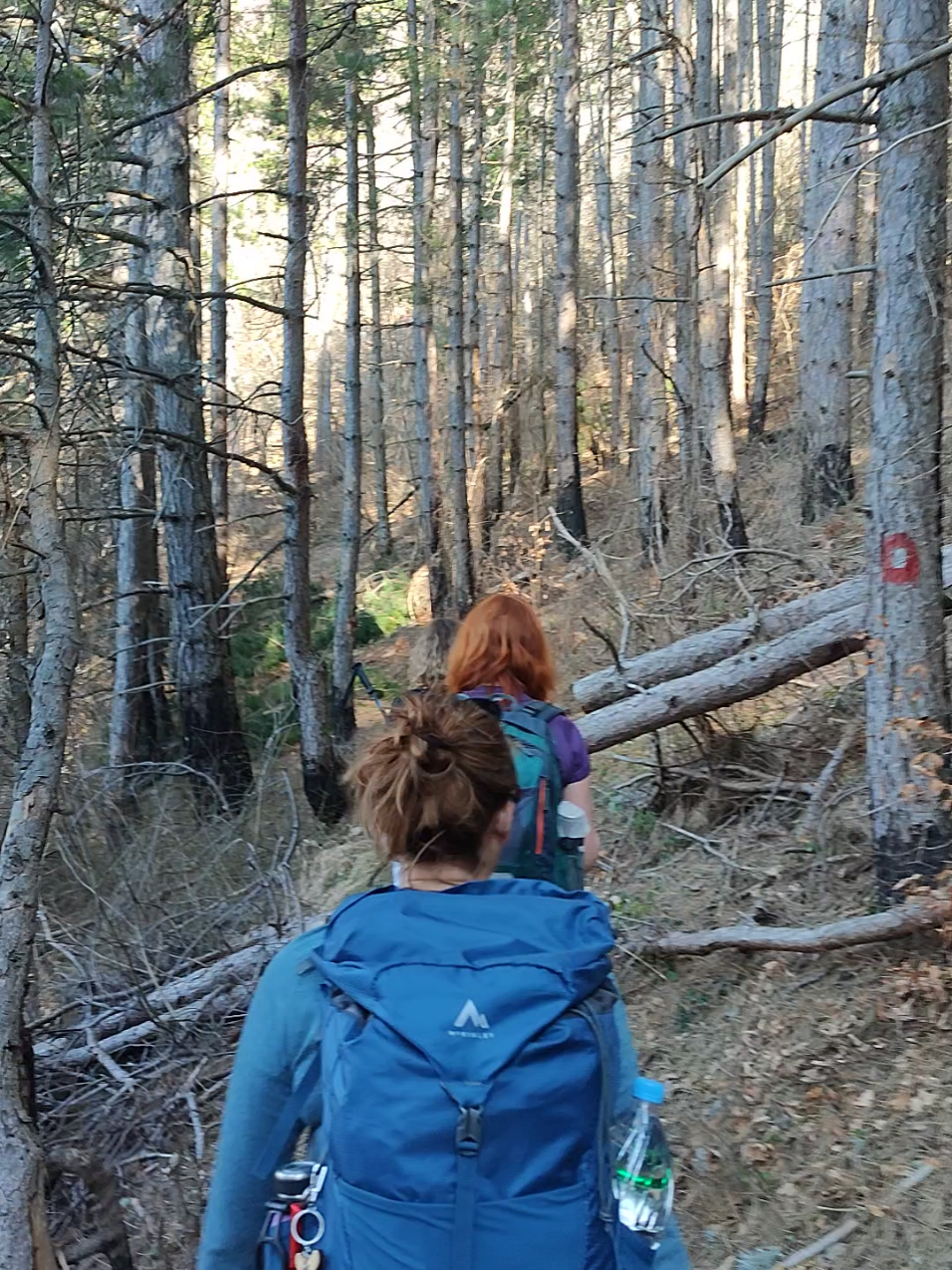 @Only Fools and Hikers