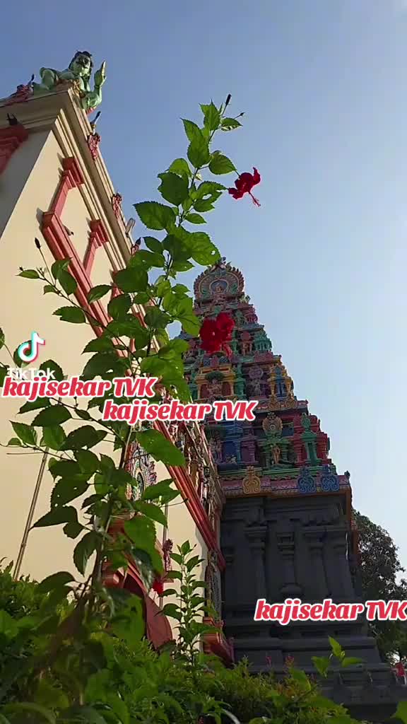 @kaji sekartiktok.com