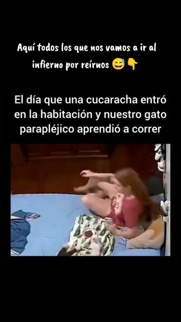 @Panda informativo