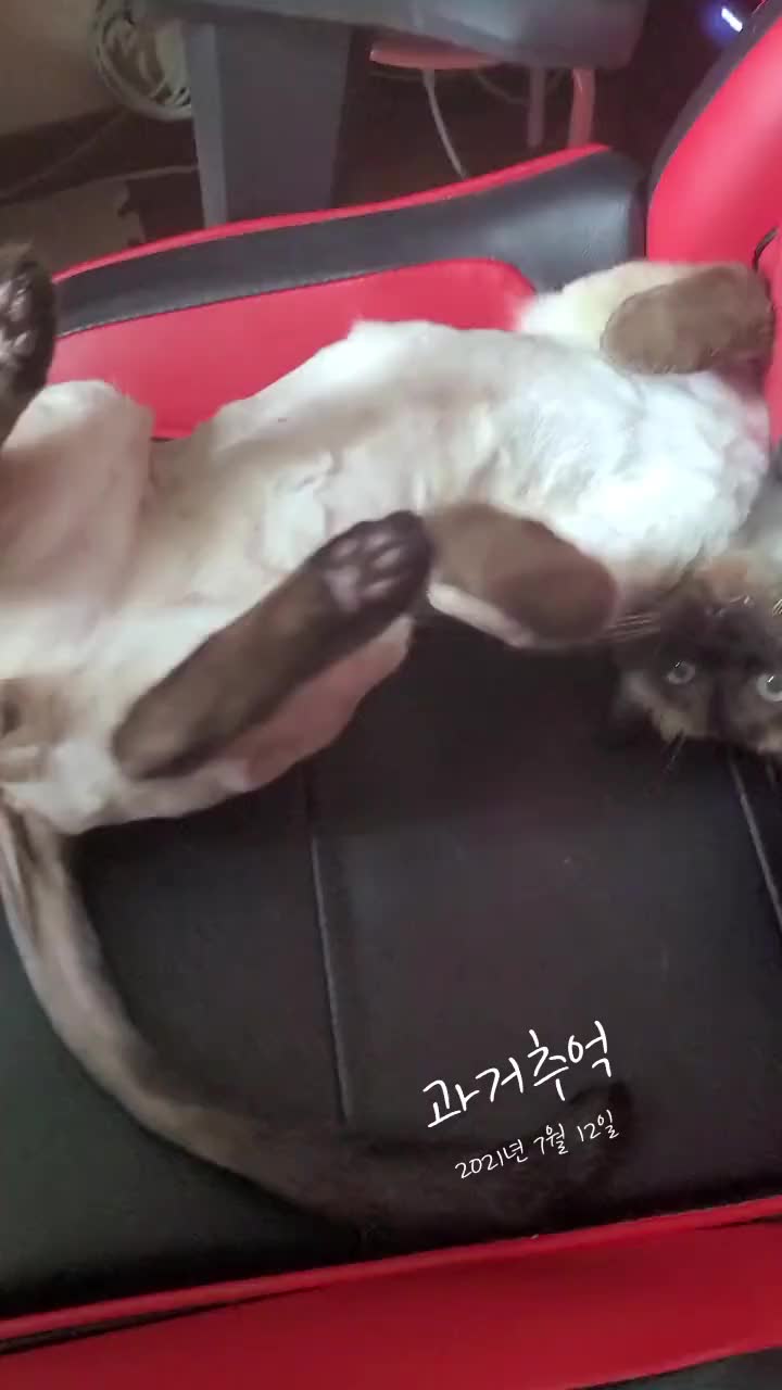 @뚱이