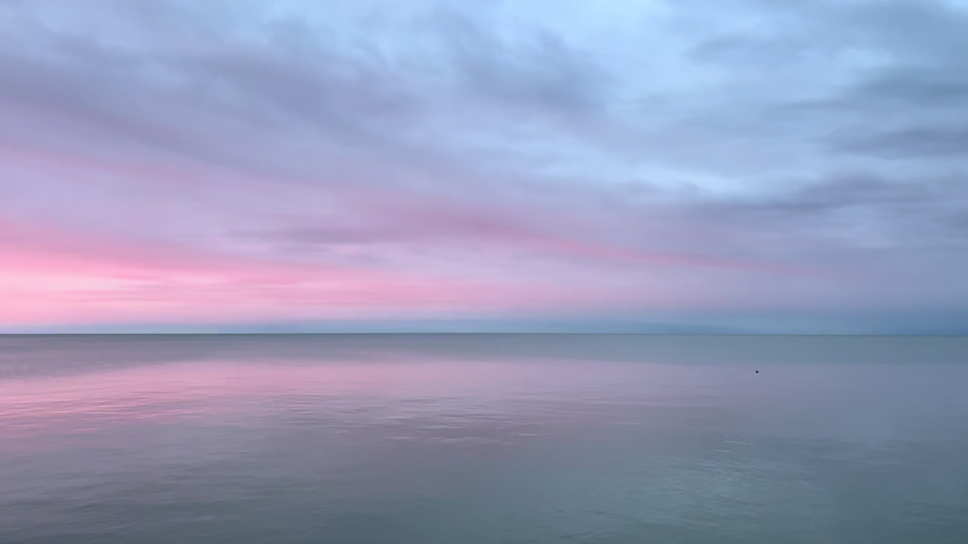 @AnnPortStanley🇨🇦