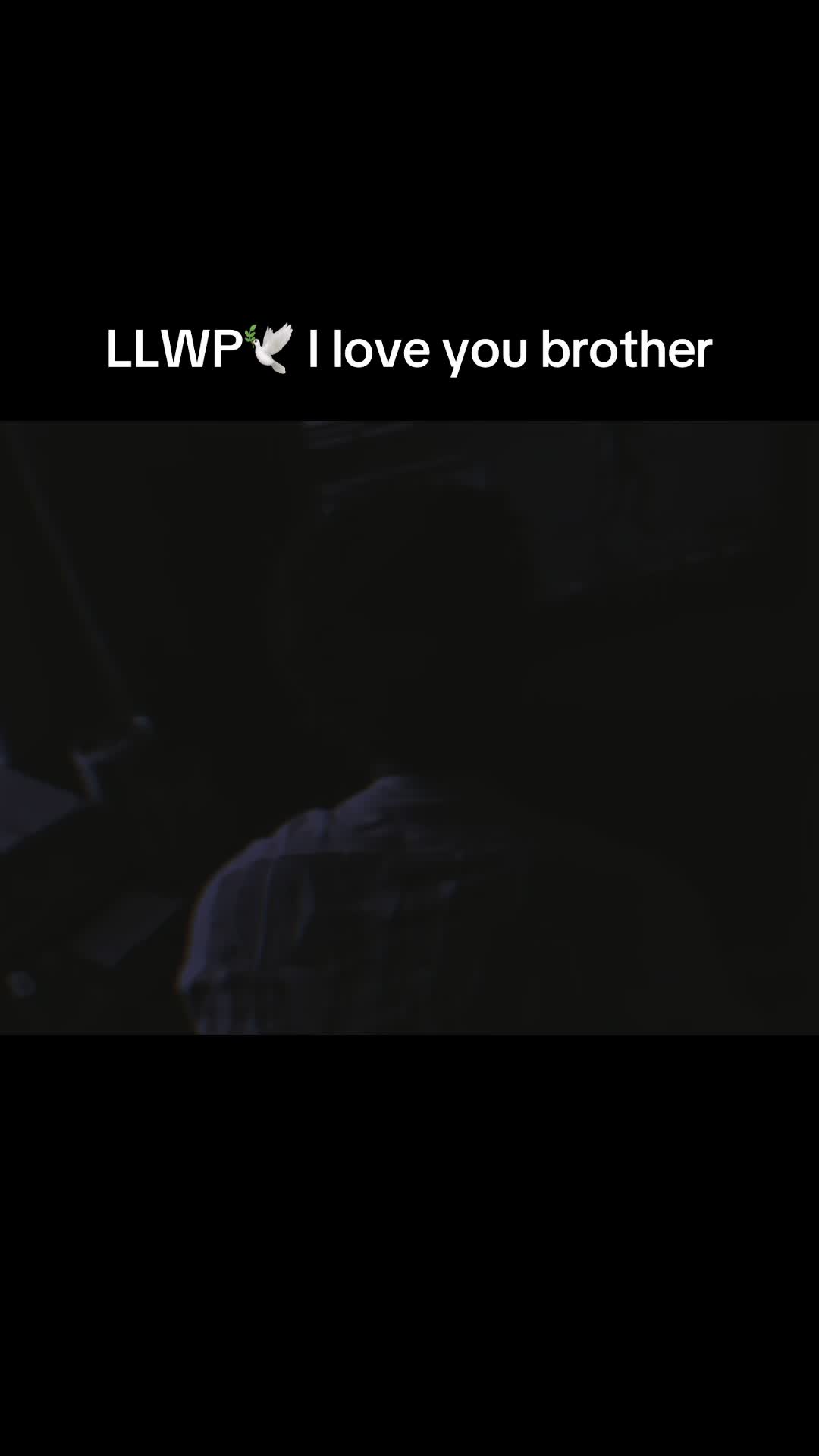 @Zuukax