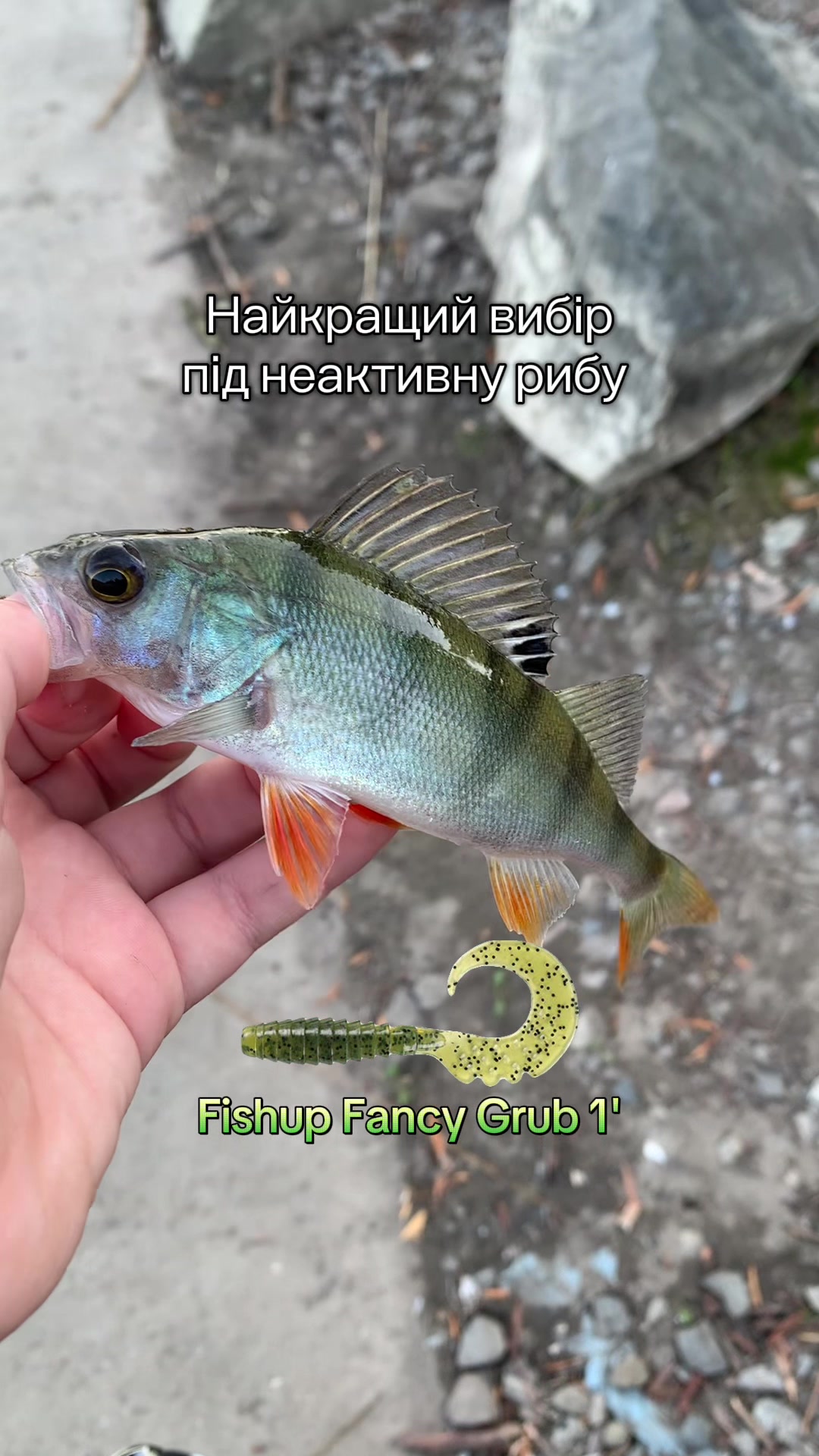 @High Fishing