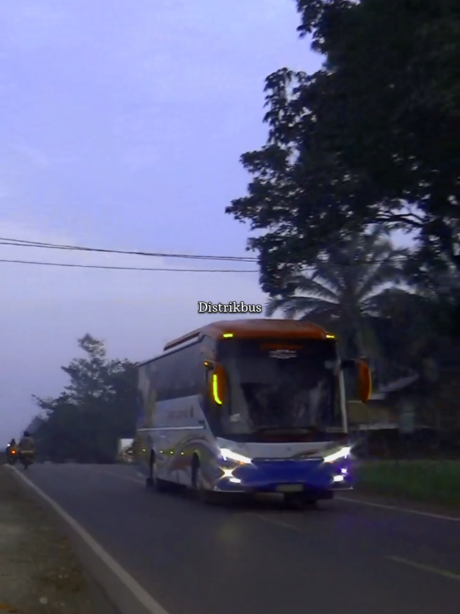 @Distrikbus