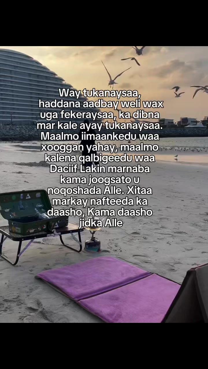 @Meow🐈⬛