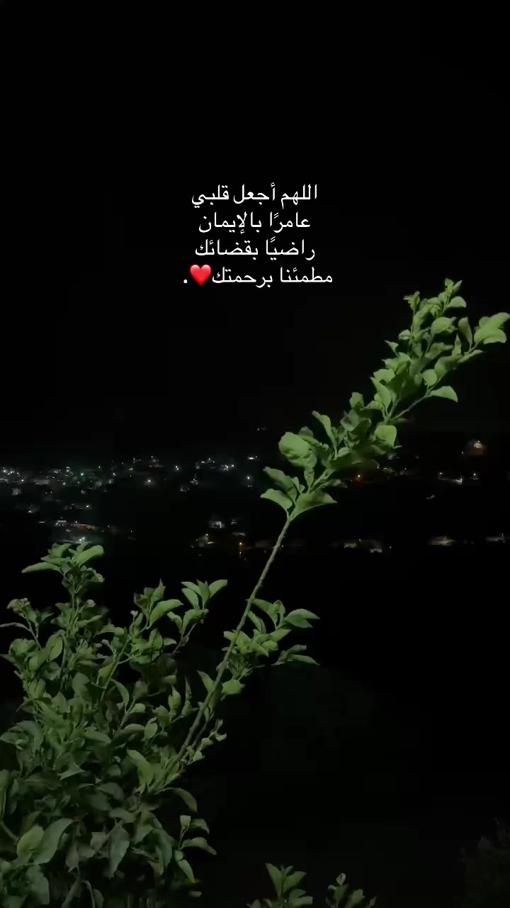 @donia abde